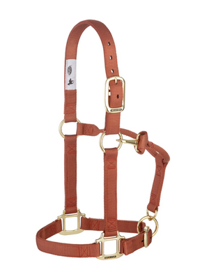 Weaver Leather Original Non-Adjustable Nylon Horse Halter, Large