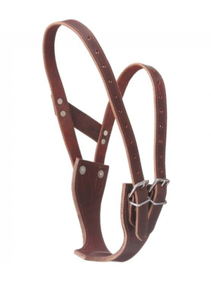 Collier Anti-Rot Premium Leather
