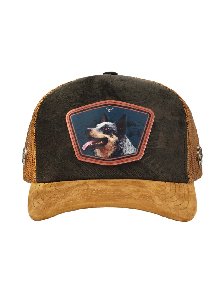 Casquette Chien Paysage Montagne