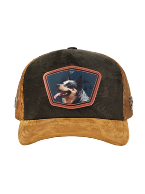 Casquette Chien Paysage Montagne