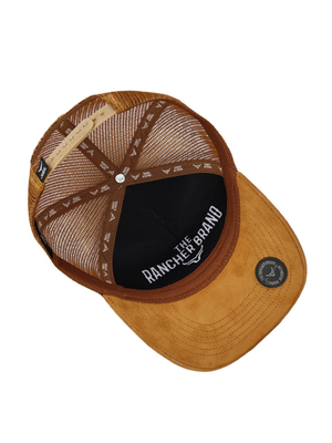 Casquette Chien Paysage Montagne
