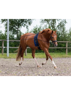 Double longe reins