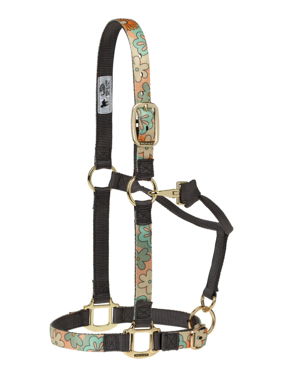 Licol HFI Mixed Cuir & Nylon | Licols & Longes Licol HFI Mixed Cuir & Nylon | Licols & Longes