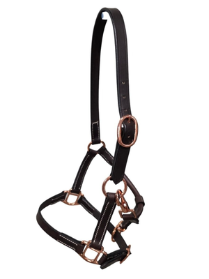 Licou en cuir pour mini ou poulain Rose Gold