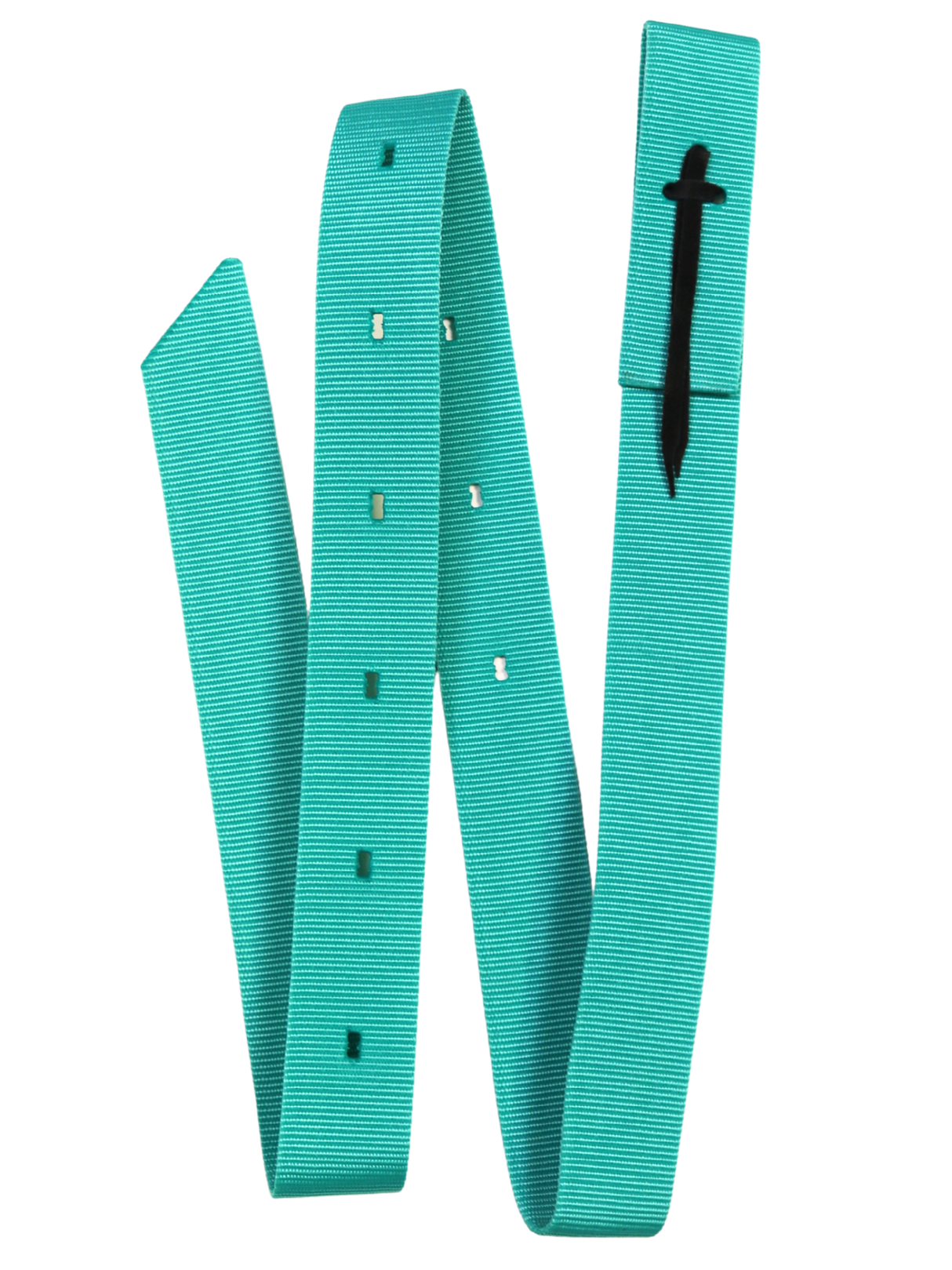 Long nylon western strap