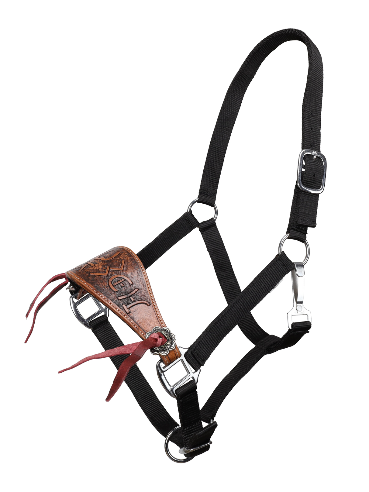 Licou Bronc Brandin' Pen