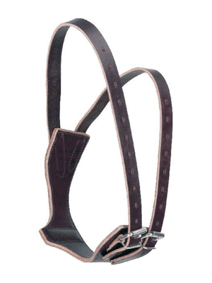 Collier Anti-Rot en cuir