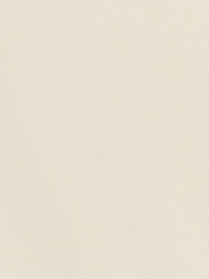 Sweatshirt Écourté à manches courtes Horse - Femme