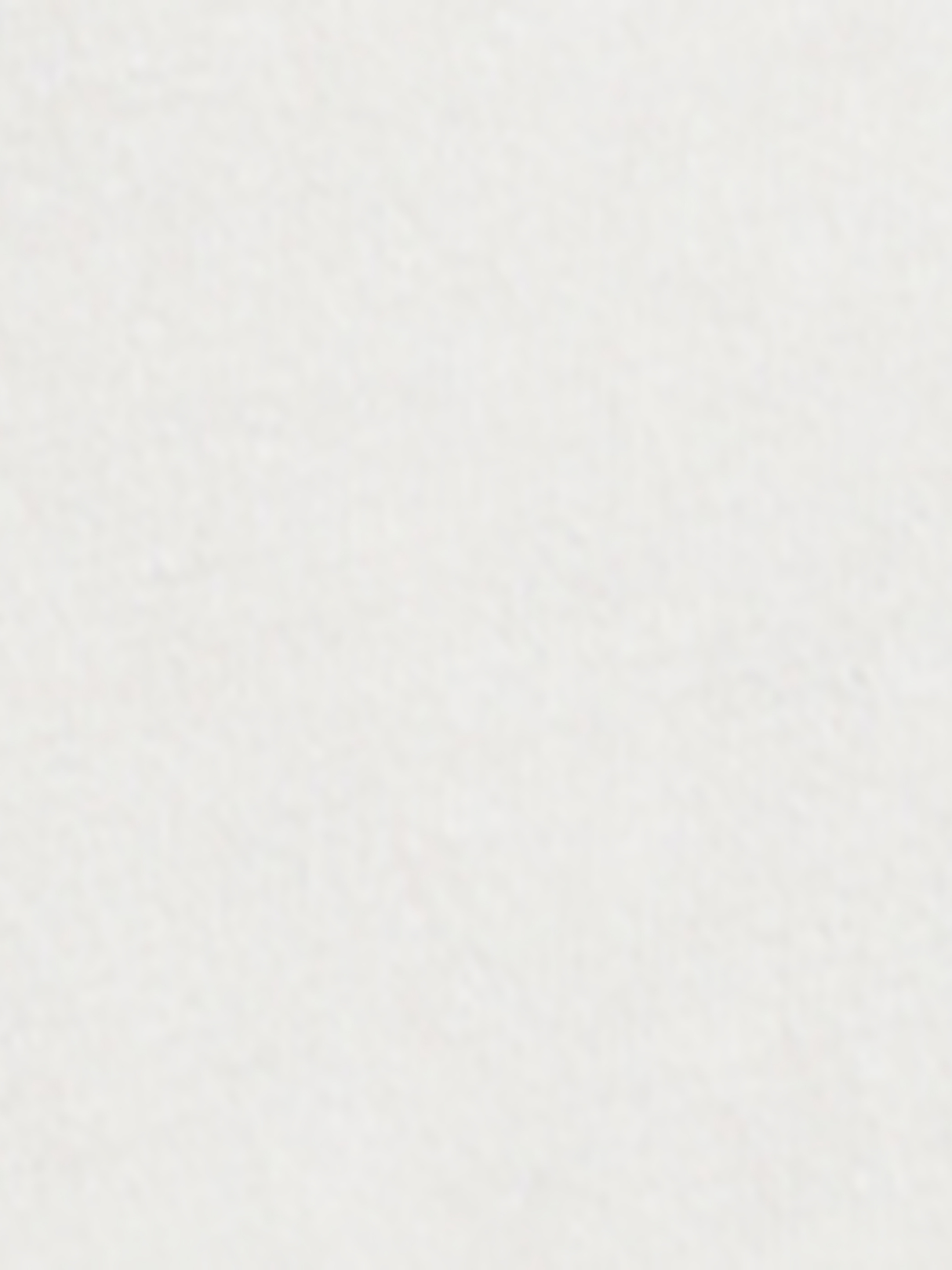 T-shirt Rétro Egret Cream - Femme