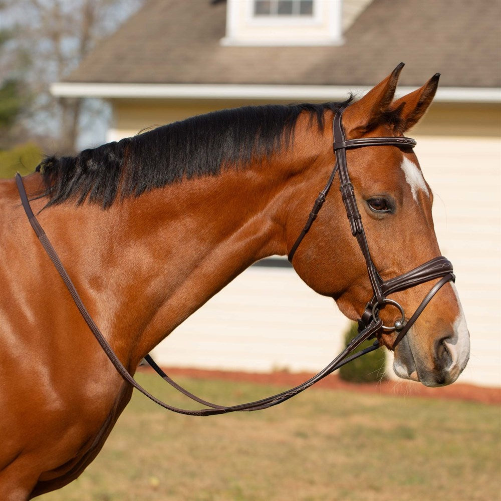 Bride Flash Snaffle Anatomique Noir Rembourrée Taille Cheval Par Benz Equestrian
