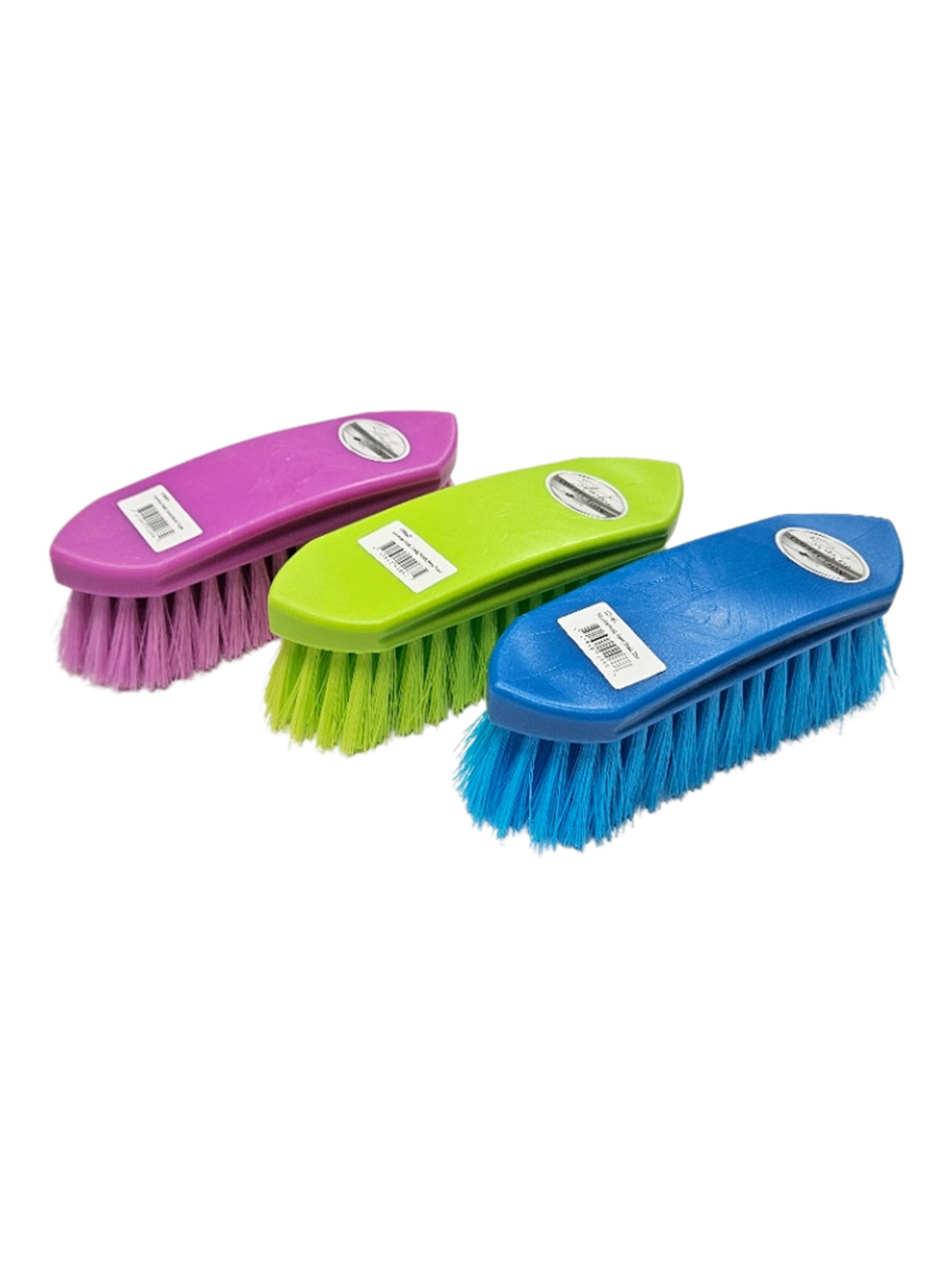 Brosse dure Dandy