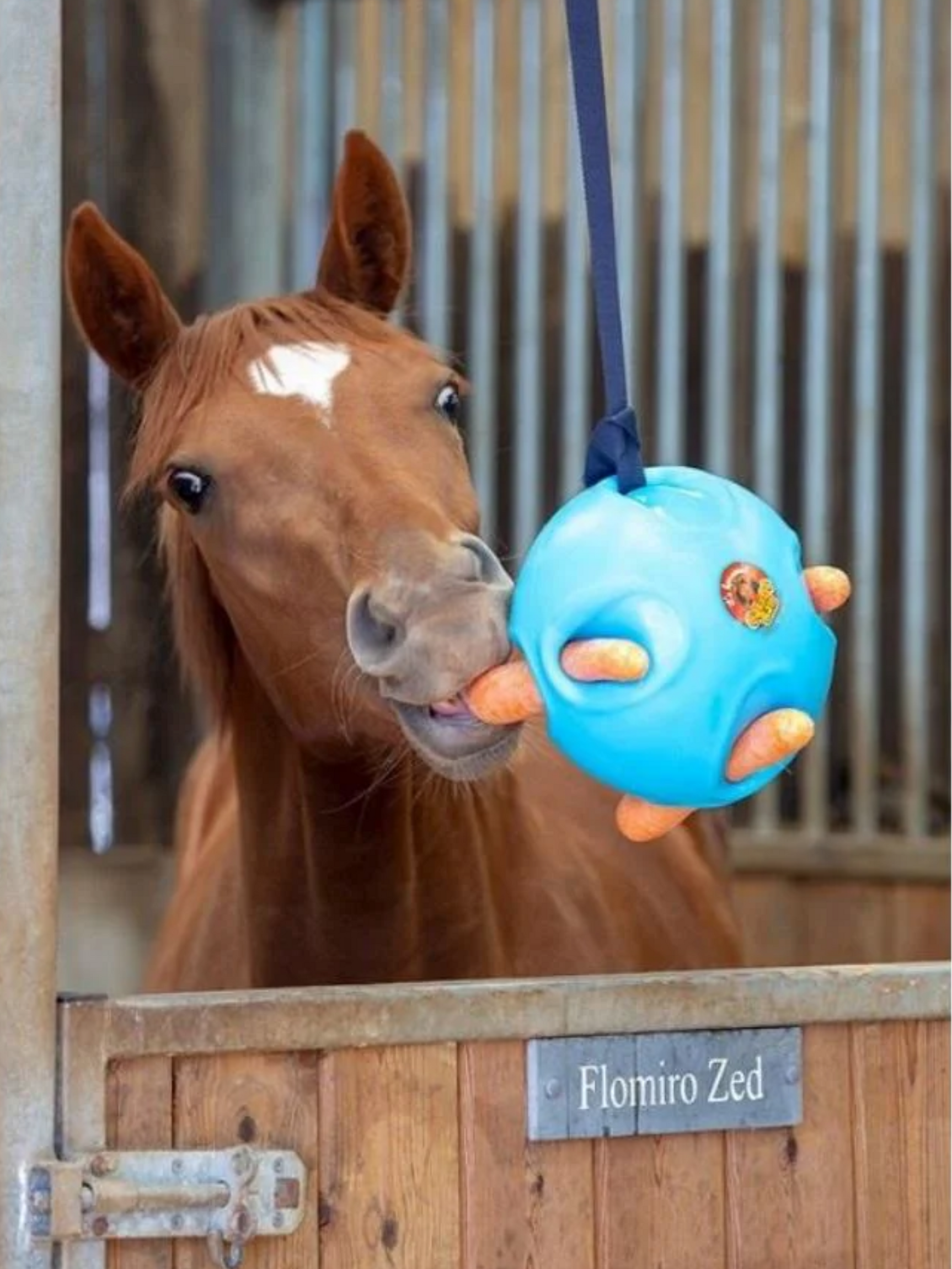 Ballon à carotte