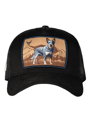 Casquette Bouvier Australien