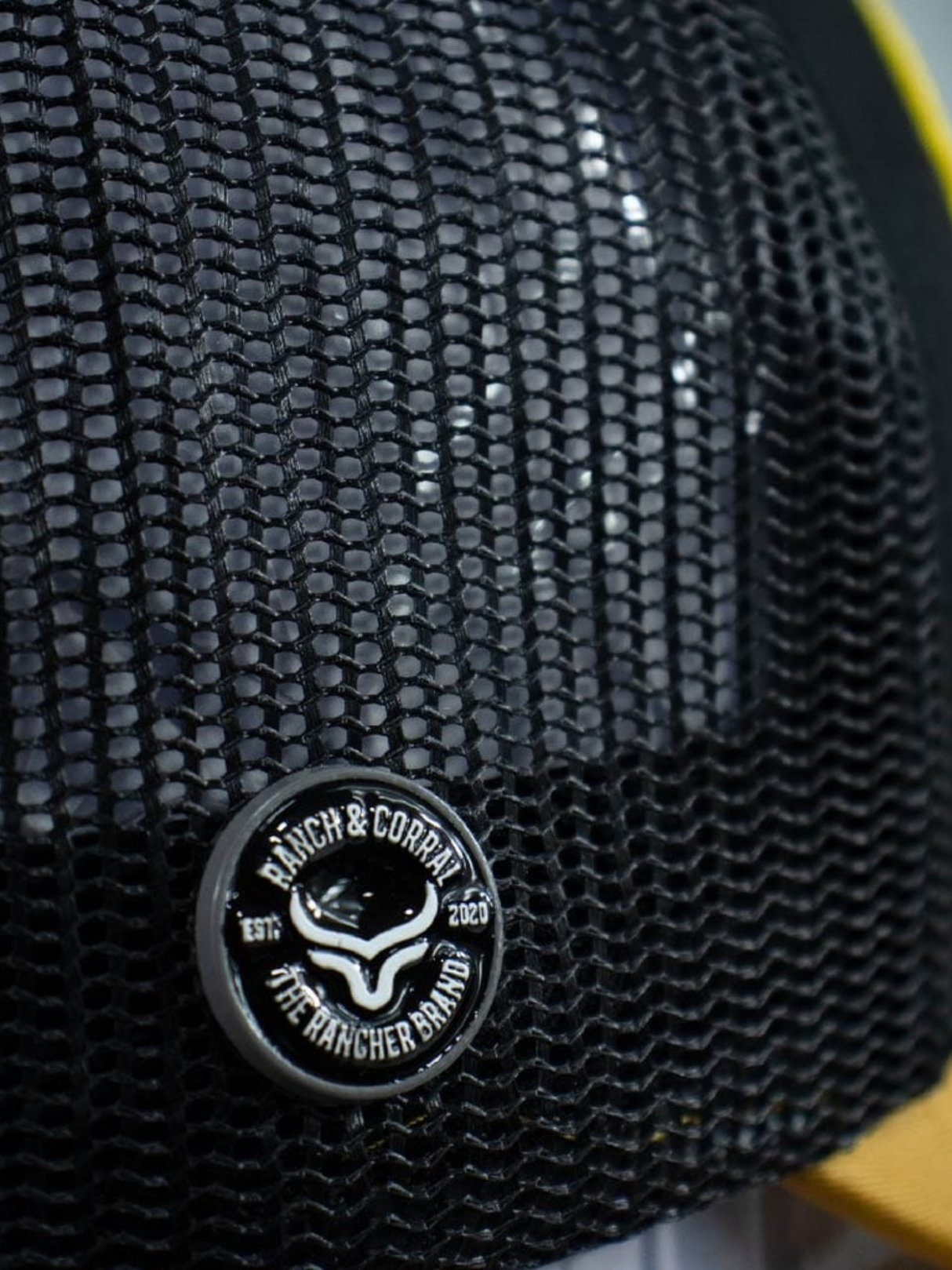 Casquette Labrador noir