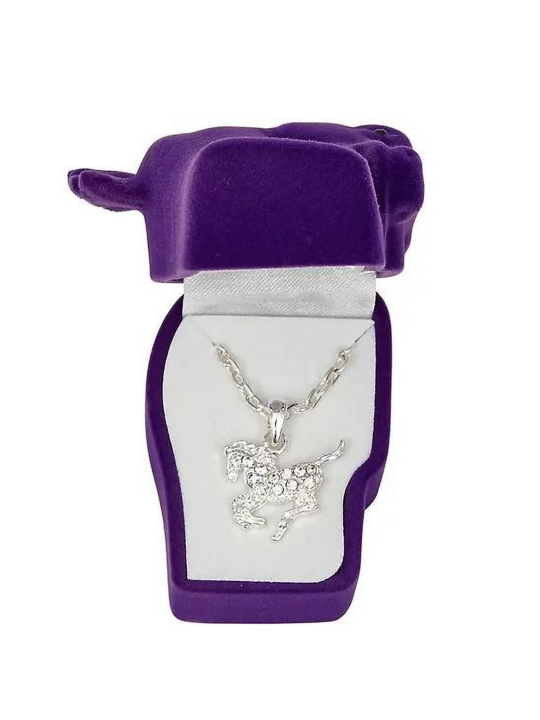 “Precious Pony” Necklace with Pony Box