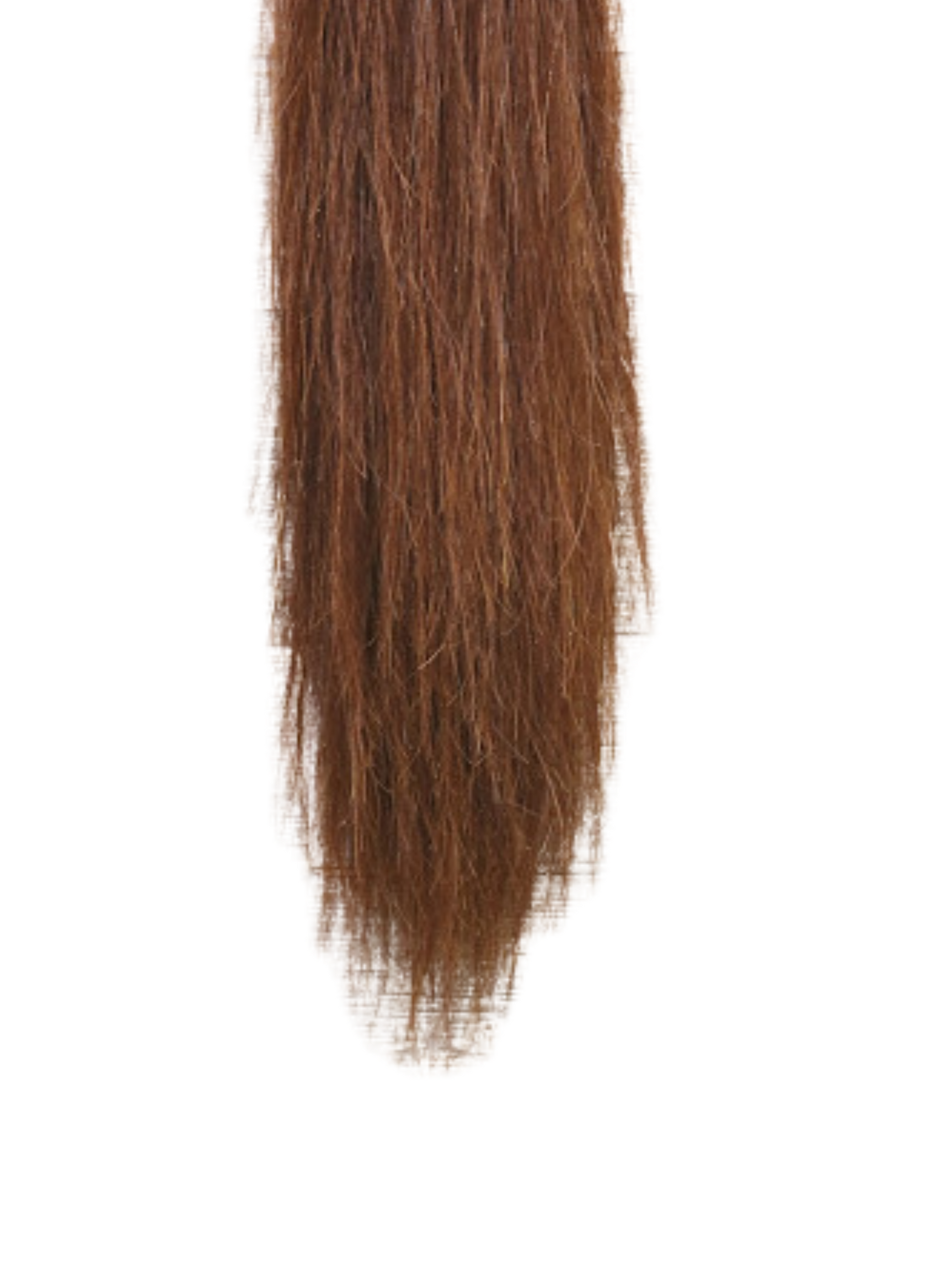 Chestnut Faux Tail