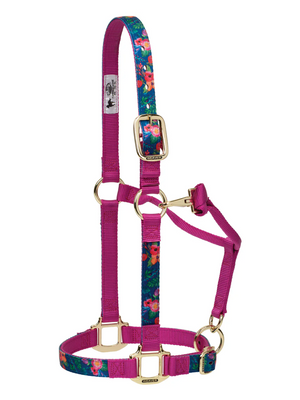 Licou de Nylon avec motifs