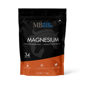 magnesium-1