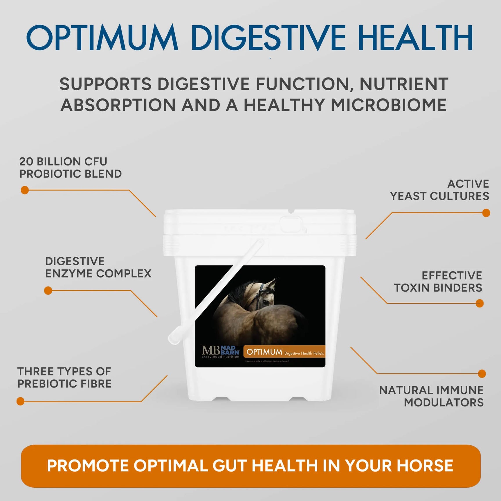 Supplément Optimum Digestive Health