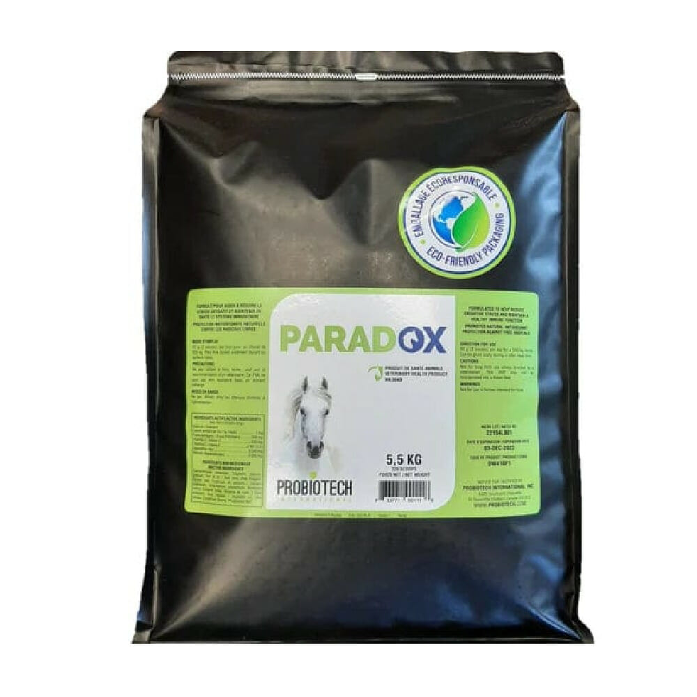 paradox-10kg