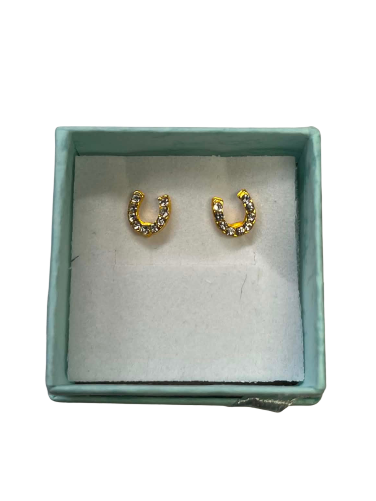 Boucles d'oreilles Fer Cheval pierres brillantes