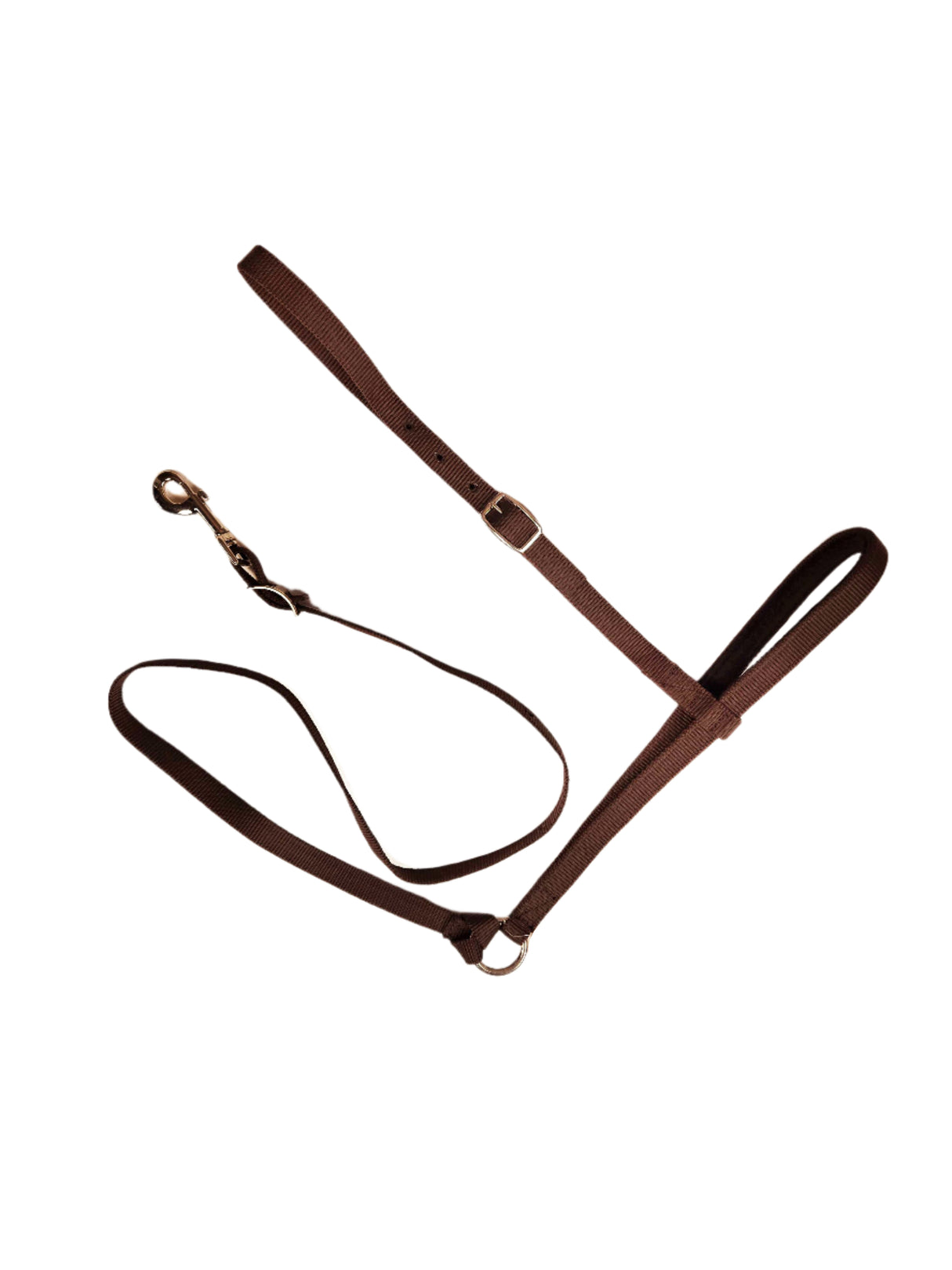 Enrênement Noseband et Tie-Down Sierra Web