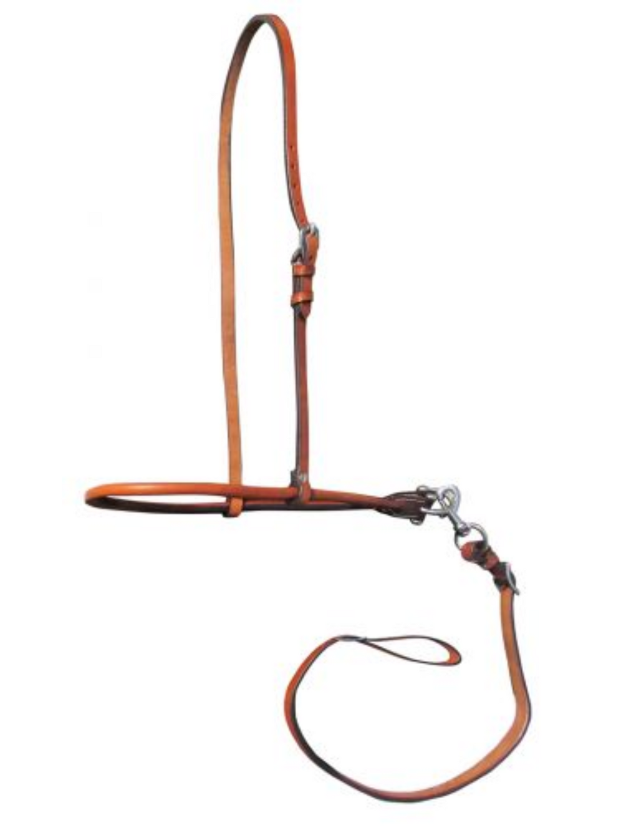 Noseband en cuir roulé et tiedown ajustable