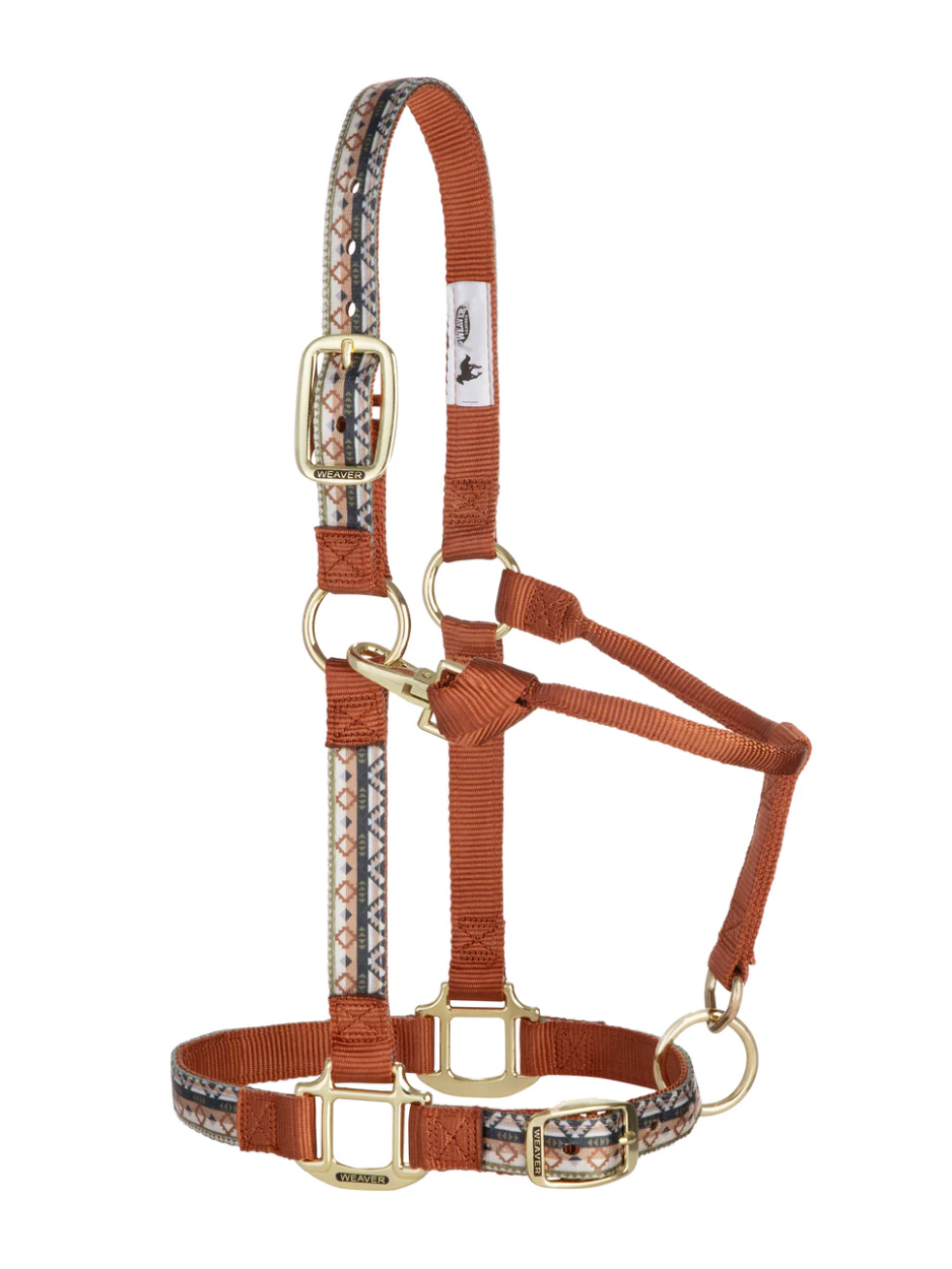 Licou de Nylon avec motifs