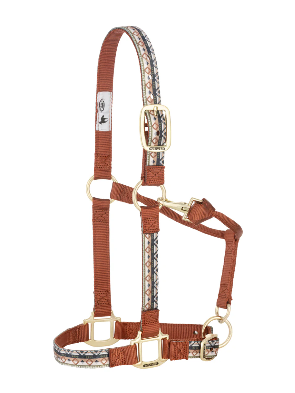 Licou de Nylon avec motifs