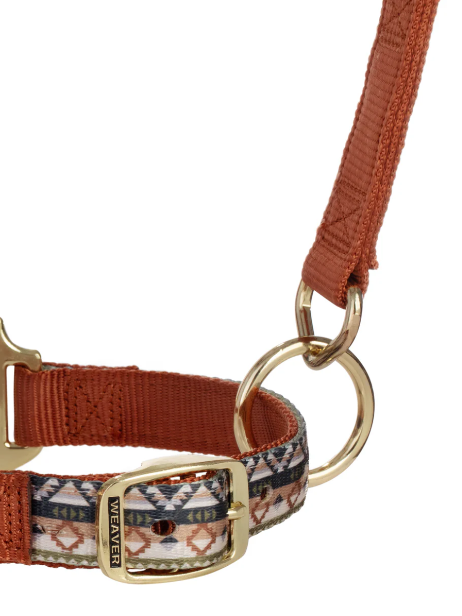 Licou de Nylon avec motifs